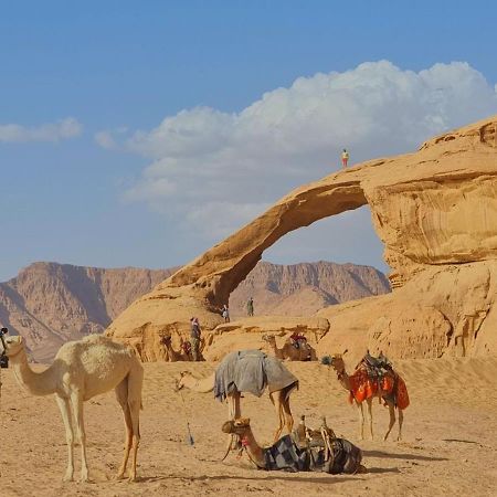 Wadi Rum Desert Camp Bagian luar foto
