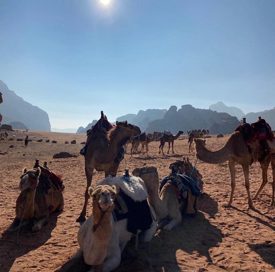 Wadi Rum Desert Camp Bagian luar foto