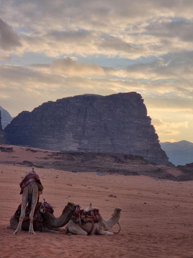 Wadi Rum Desert Camp Bagian luar foto