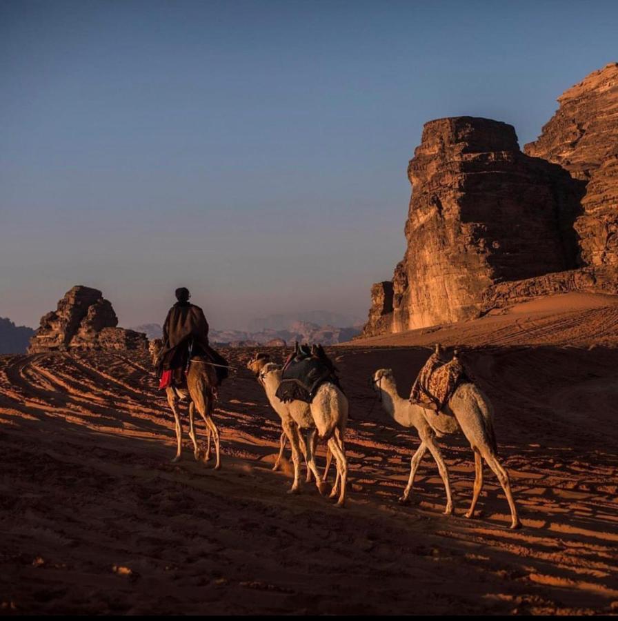 Wadi Rum Desert Camp Bagian luar foto