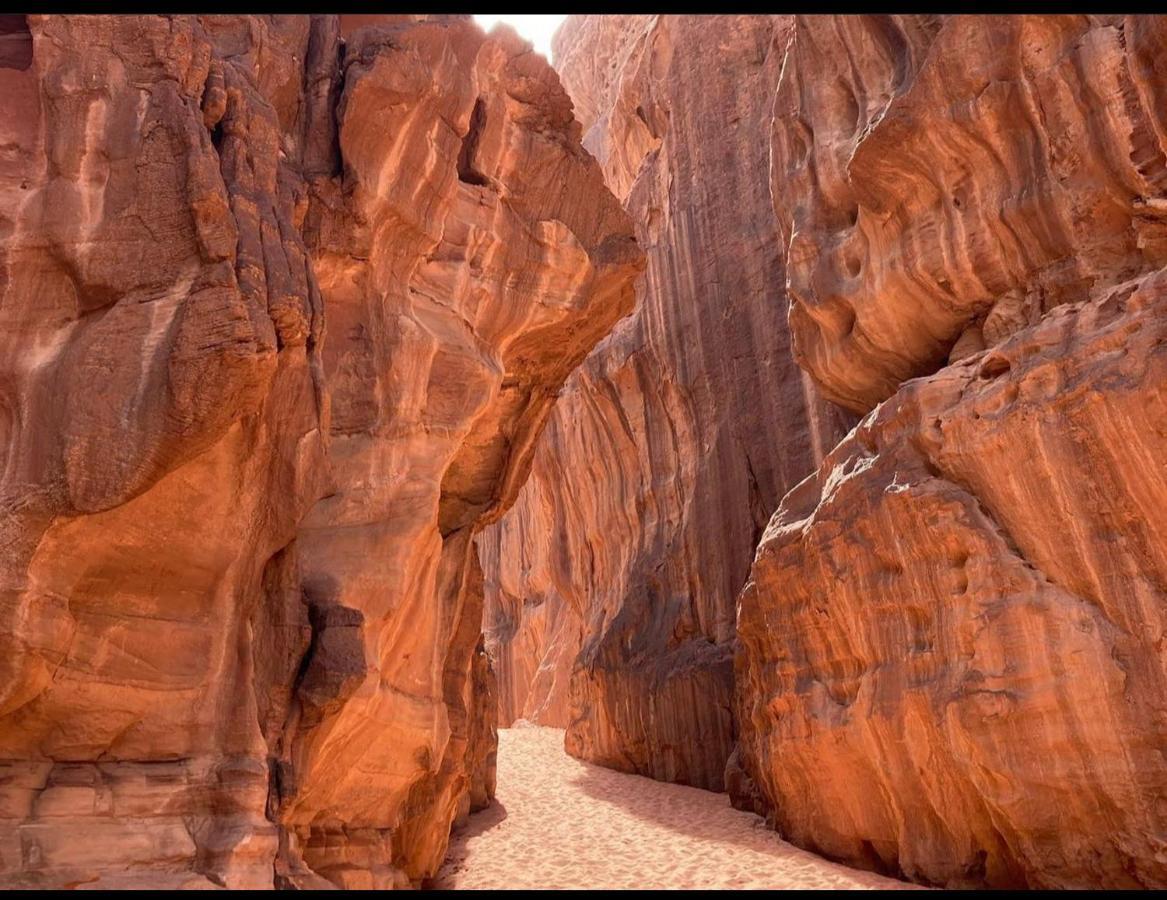 Wadi Rum Desert Camp Bagian luar foto